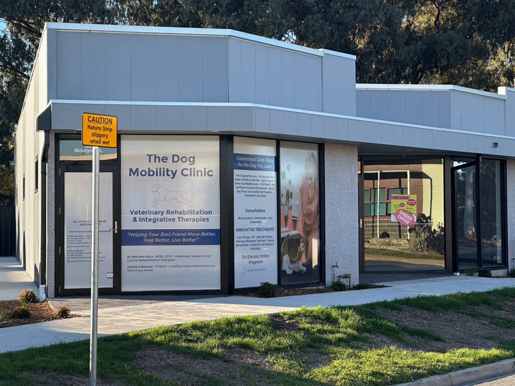 The Dog Mobility Clinic Seymour
