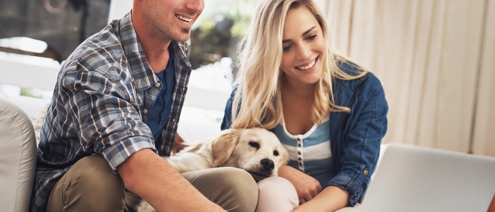Vasectomy for Dogs The Dog Mobility Clinic Seymour