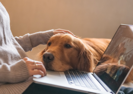 Looking for doh health care online