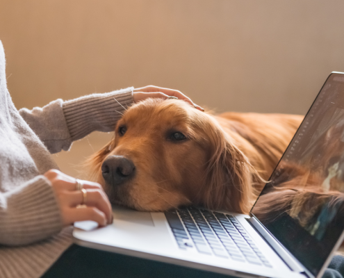 Looking for doh health care online