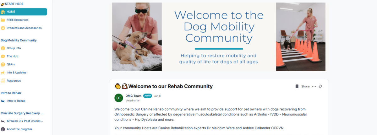 canine rehabilitation at home dog mobility support Australia