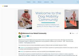 dog mobility support Australia