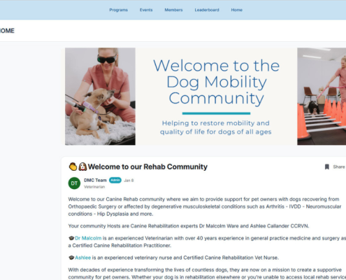 dog mobility support Australia