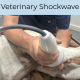 Veterinary Shockwave for Arthritis in Dogs